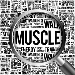 Muscle word cloud with magnifying glass, health concept