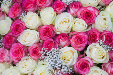 Obraz na płótnie Canvas Big bunch of pink and white roses
