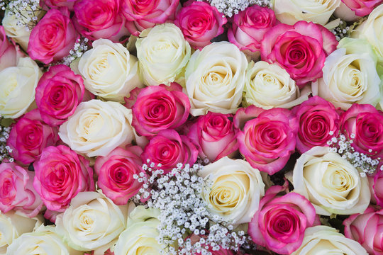 Big bunch of pink and white roses