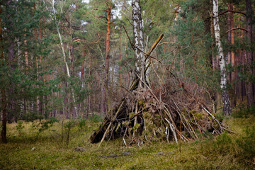 Zelt aus Ästen im Wald
