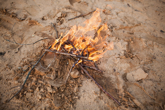 bonfire on the beach