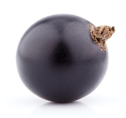 Black currant berry isolated on white background