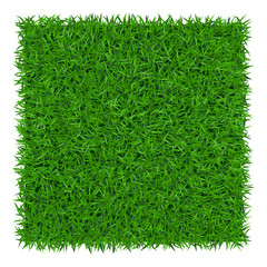 Green grass background. Lawn nature. Abstract field texture. Symbol of summer, plant, eco and natural, growth or fresh. Design for card, banner. Meadow template for print products. Vector Illustration - 104055064