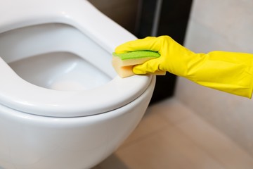 cleaning toilet in wc with yellow sponge