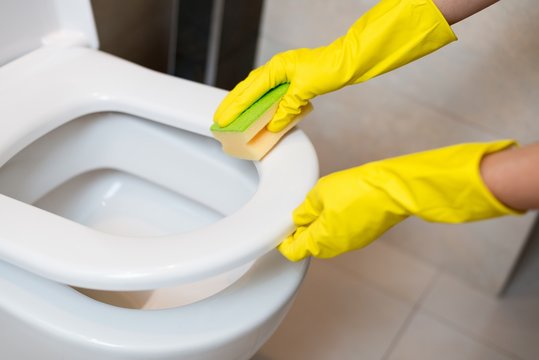 cleaning toilet seat
