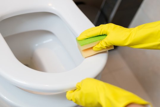 cleaning toilet seat in wc with yellow sponge
