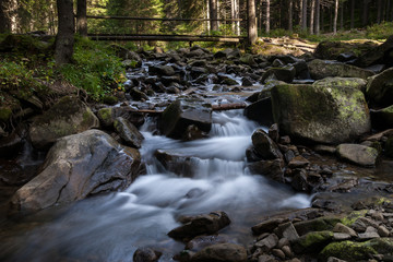 Fototapeta na wymiar River flowing between rocks in the forest