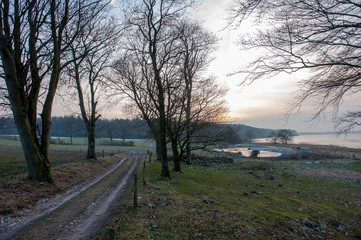 Fototapeta na wymiar Feldweg durch winterlichen Acker an der Eckernförder Bucht