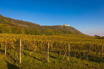 Fototapeta premium Moravian Land