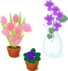 Flowers in pots set