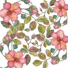 Watercolor abstract  whith flower on white background