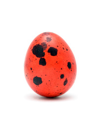 Easter quail egg