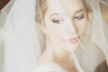 stylish luxury gorgeous blonde bride posing on the background ho