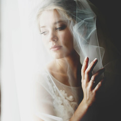 Obraz premium stylish luxury gorgeous blonde bride posing on the background ho