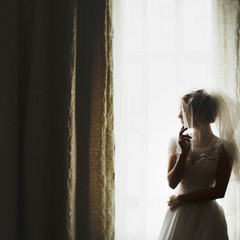 stylish luxury gorgeous blonde bride posing on the background ho