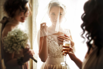  happy stylish gorgeous blonde bride with bridesmaids on the bac