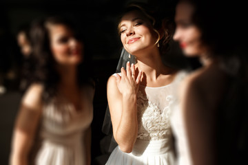  happy stylish gorgeous blonde bride with bridesmaids on the bac - obrazy, fototapety, plakaty