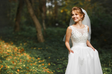 Fototapeta na wymiar luxury stylish young bride on the background spring sunny green