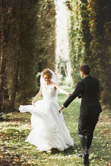 luxury stylish young bride and groom on the background  spring s