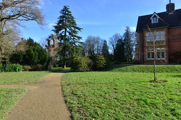 A park in the UK in winter on a cold morning