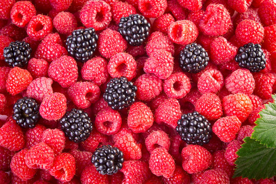 Blackberries and raspberries
