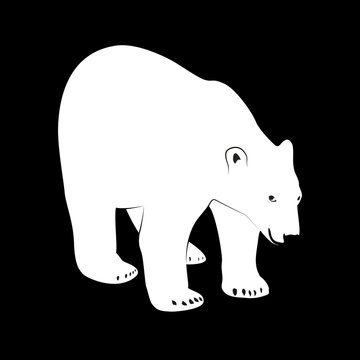 Black and white Illustration of polar bear on dark background