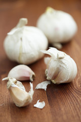 Garlic