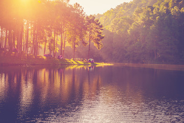 Pond water and sunrise with vintage effect. - obrazy, fototapety, plakaty