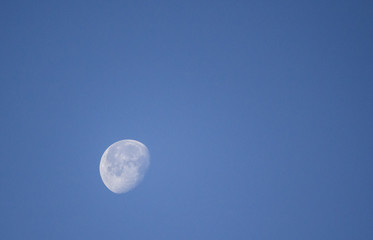 The Morning Moon