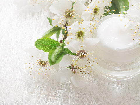 natural facial cream with spring blossom, fresh as spring flowers