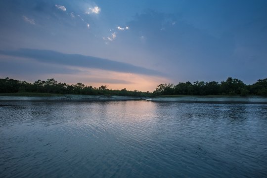 Volunteering Opportunities with Royal Sundarban Tourism 1 Sundarban Tourism