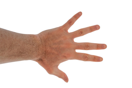 isolated hand of a man on white background