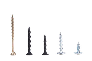 Screws located on a white background.