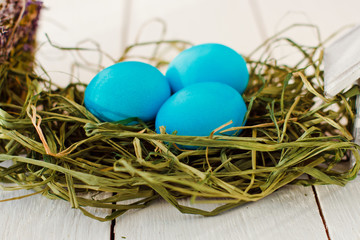blue  Easter eggs in nest on white wooden background