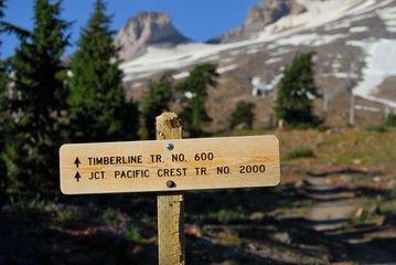 Wooden mountains trail pointer with Mount Hood in the background. Timberline trail and Pacific Crest trail junction, Oregon, USA Pacific Northwest.