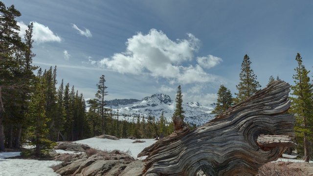 Carson Pass Winter - Afternoon motion control timelapse of winter in High Sierras of California.