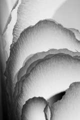 Colorful abstract composition with crepe, lights and shadows 