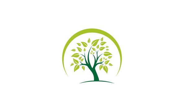 Circle Green Tree Logo