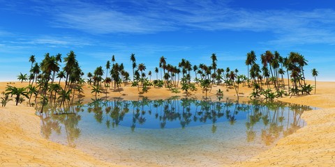 Oasis in the desert, palm trees and the water, palm trees in the desert