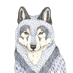 Wolf sketch. Watercolor illustration.