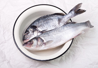 Raw dorado and sea bass