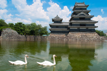Two swan at Matsumoto castle