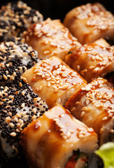 Close-up macro shot of sushi rolls set