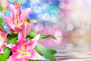 Close up of pink lilies
