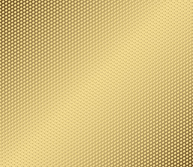 Fototapeta premium Vector abstract metal gold hexagon with cells