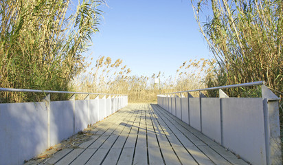 Puente sobre canal en el Delta del Llobregat, Barcelona