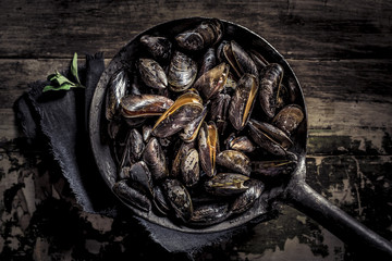 rohe Miesmuscheln im Topf
