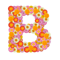Letter B alphabet with straw flower isolated on white background