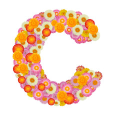 Letter C alphabet with straw flower isolated on white background