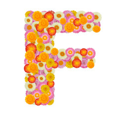 Letter F alphabet with straw flower isolated on white background